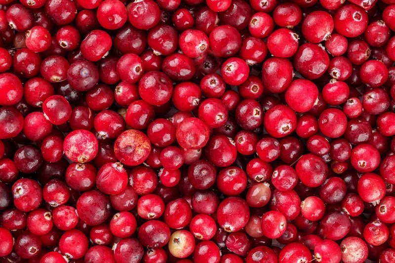 Cranberry